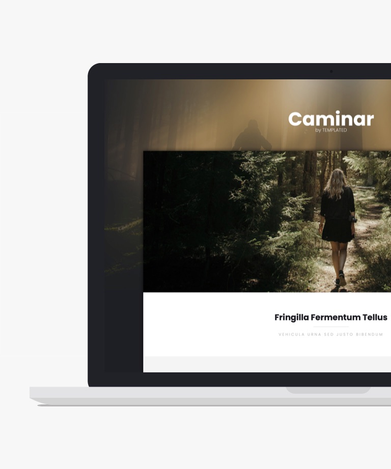 Caminar - Simple Free HTML CSS Template