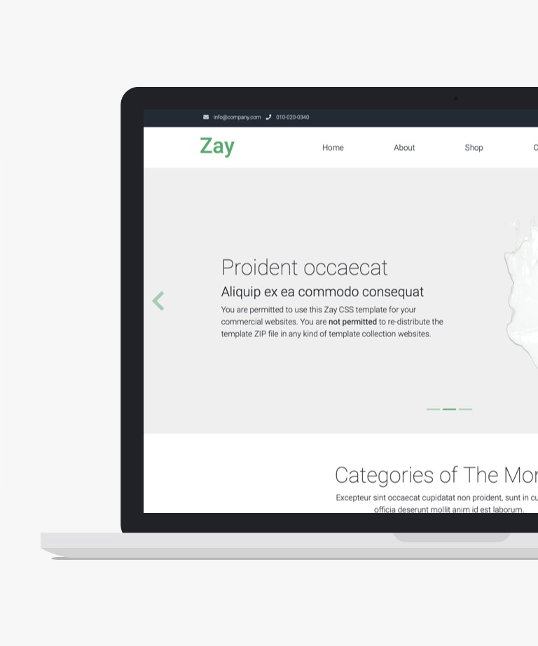 Zay Shop - Free Bootstrap Ecommerce Website Template